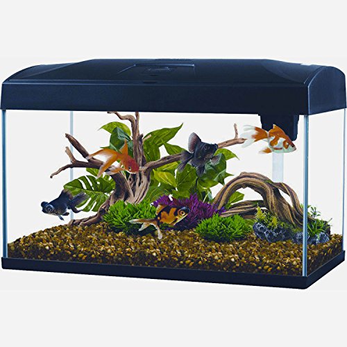 54 lt, luci led, 58,5cm x 30.5cm x 38.5cm (h)