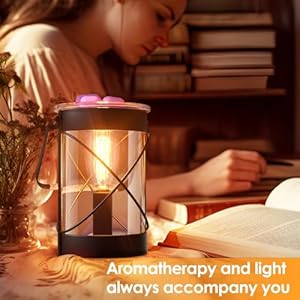 Electric Wax Melt Warmer, 40W Edison Bulb Scentsy Wax Warmer with 2/4/8h Timer, Glass Iron Scentsy Warmer Burner Melter for Wax Melts Electric Wax Melt Warmer 40W Edison Bulb Scentsy Wax Warmer with 248h Timer Glass Iron Scentsy Warmer Burner Melter for Wax Melts