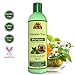 OKAY | Green Tea Nourishing Antioxidant Rich Shampoo | For All Hair Types & Textures | Revitalize - Rejuvenate - Restore Moisture | With Tea Tree Oil | Free of Parabens, Silicones, Sulfates | 12 oz