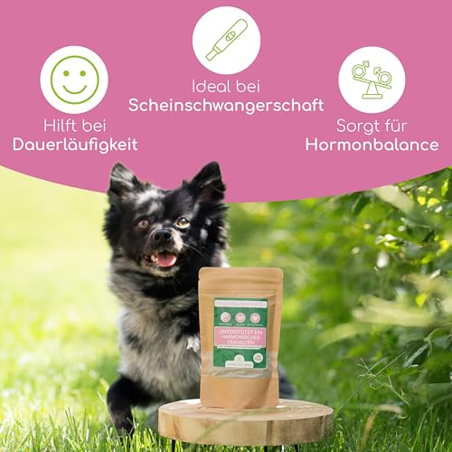 Wolfsbacher Natürliches Venus Balance Pulver für Hunde - Unterstützung bei Läufigkeit & Scheinschwangerschaft, mit Mönchspfeffer und Himbeerblättern