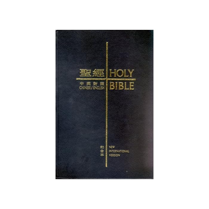 Buy Chinese English Bible Traditional Union/NIV (Thumb Indexed New