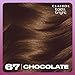 Clairol Bold & Bright Permanent Hair Dye, 67 Chocolate Hair Color, Pack of 1
