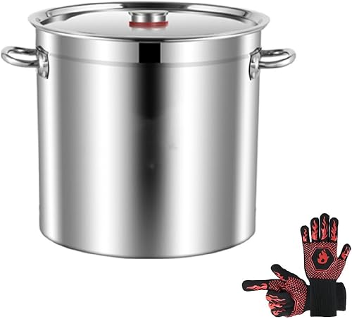 Olla grande de acero inoxidable de 10 cuartos de galón con tapa, olla de acero inoxidable con asas dobles, olla de sopa de inducción de acero