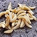 Fake Maggots Realistic Soft Fishing Lures - Worms & Bugs That Look Real 50pcs