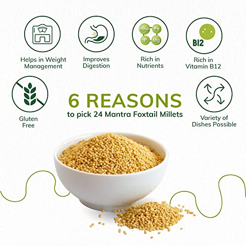 Image of 24 Mantra Organic Unpolished Foxtail Millet, LOW G.I Kangni, Naturally Gluten Free (Pack of 3)