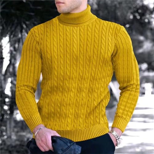 Men's Pullover Sweater Solid Color Turtle Neck Twist Fashion Bottoming Sweater Autumn Winter2