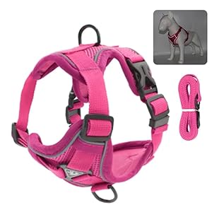 TruBest Small Dog Vest Harness | Puppy Dog Or Cat Vest Harness | Dog Harness With Nylon Leash | Soft & Breathable | Reflective Escape Proof | No Pull No Choke Harness (Small, Pink)