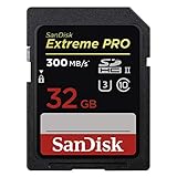 Tarjetas de memoria SDHC y SDXC UHS-II súper rápidas con velocidades de disparo de hasta 260 MB/s