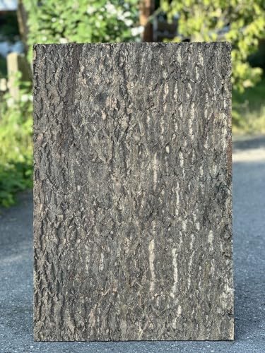 M&S Reptilien drwn Zierkorkrückwand 90x60x2cm