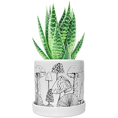 QGWJEKUI Mushroom Decor Planter Pot with Drainage Hole & Removable Draining Tray,Handmade Pots for Plants Flowers Indoor,Unique Ceramic Planter,Cute Succulent Pots,Aesthetic Modern Boho Gifts Cover