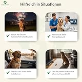 GLOBAL NATUREON® Cannabiu Pets Relax-Tropfen Lachsöl & Hanföl 500mg für Hunde und Katzen aus Samen, Tropfen für Reisen, Tierarztbesuche, Lärm und Fellpflege, Omega 3,6 & 9, 100% Natürlich