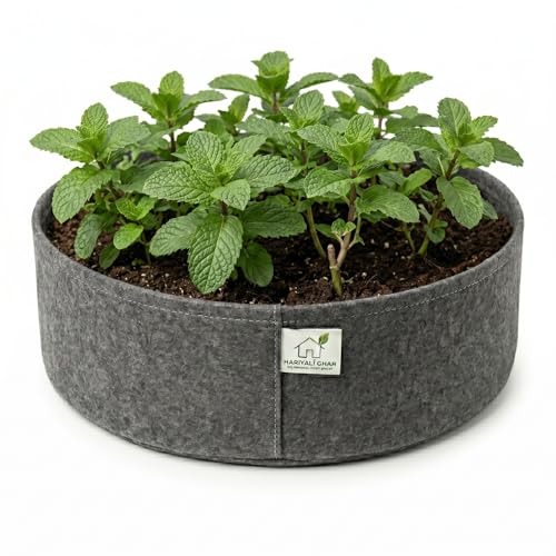 Image of 400 GSM Geo Fabric Round Grow Bags 12x6 Inch, Dark Grey Planting Bags for Terrace and Kitchen Gardening Pack of 1