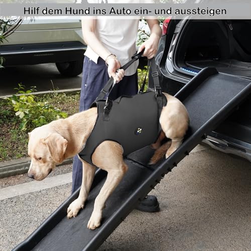 Coodeo Hundeliftgeschirr, Haustierunterstützung & Rehabilitation Sling Lift Verstellbare Gepolsterte atmungsaktive Gurte für Alt, Gelenkverletzungen, Arthritis, Stabilitätsverlust Hunde(Schwarz, 2XL)
