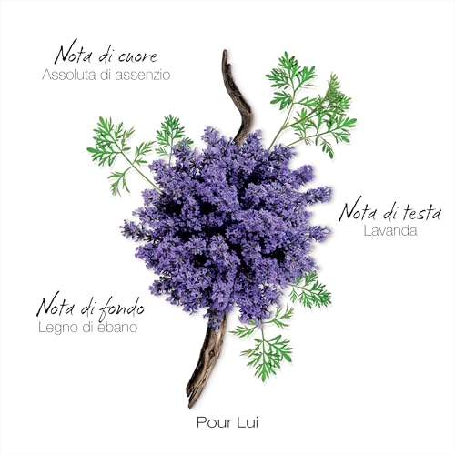 Mauboussin - Pour Lui 100Ml - Eau De Parfum For Men - Ferny & Modern Scents - 4