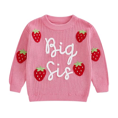 Kids Toddler Girls Pullover Sweater Big Sis Strawberry Embroidery Long Sleeve Knit Tops Fall Winter Clothes