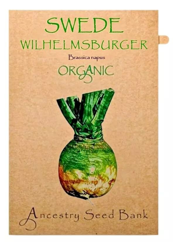 Organic Swede ❁ Wilhelmsburger ❁ x100 Seeds Heirloom - Non GMO