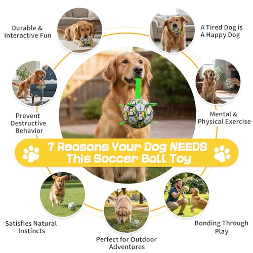 Image of Dog Soccer Ball with Straps, 6 Inch for Small and Medium Dogs, B | Footable Floating Dog Toy for Training, Fetch & Water Play, Interactive Dog Toys with Pump and Needle for Inflation