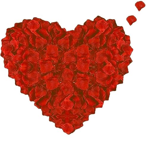 o Ԃт t[V[  [Y KN      lC  Ԃт v|[Y }`bN LO EGfBO  a j p[eB[ NX}X BeȂǗp   800 (bh)