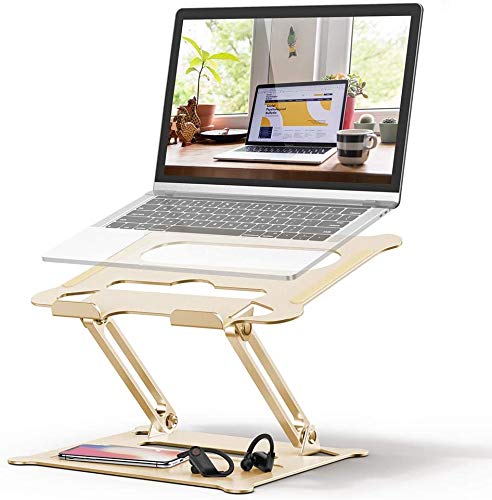 Laptop Stand for Desk, Ergonomic Portable Aluminum Stand,Multi-Angle Stand with Heat-Vent Laptop Compatible with 10