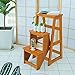 BOCbco Tabouret de Tabouret En Bois Pliant Tabouret D'Échelle, Escaliers Multifonctionnels Chaise Bibliothèque À La Maison Montée En Échelle Passante Passante Passagère