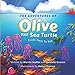 The Adventures of Olive the Sea Turtle: From Nest to Sea