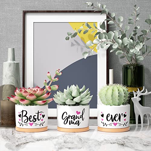 Christmas-Grandma-Gifts-Best-Gifts-for-Grandma-from-Grandchildren-Granddaughter-Best-Grandma-Ever-Succulent-Pots-for-Plants-Indoor-Ceramic-Planter-Gift-Boxed-Cute-Grandma-Birthday-Thanksgiving-Gifts
