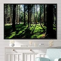Framed Canvas Wall Art Rustic Woods Brown Dark Dramatic Forest Group Nature Photography Realism - 16x24 inches
