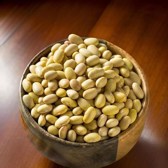 Peruano Beans | Peruvian Mayocoba Beans | 10 lbs | Premium Quality