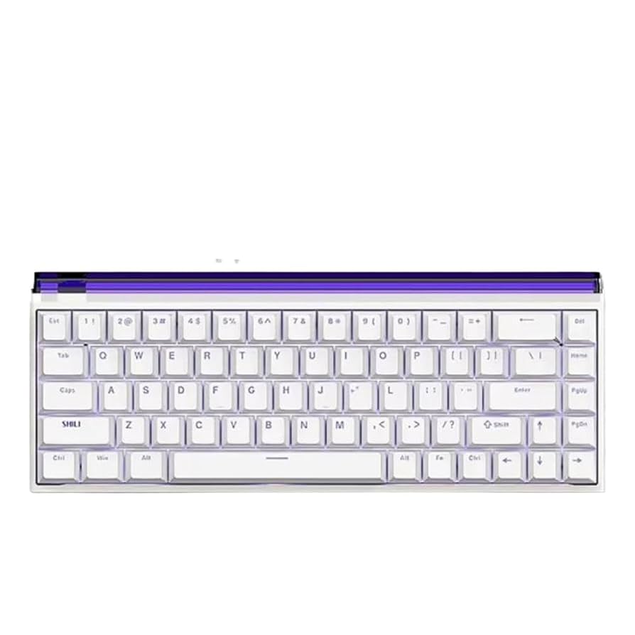 Amazon.com: Nano 68/68 PRO Magnetic Gaming Keyboard with TTC