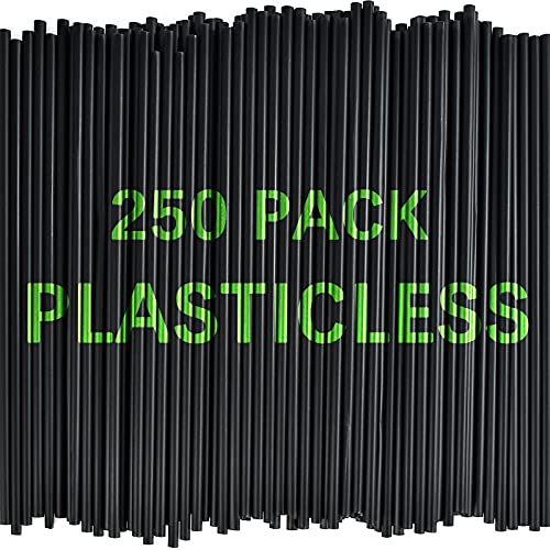 100% Plasticless Biodegradable Stirring Straws, Black Disposable Straws Drinking,250 Pack Compostable Straws, Alternative to Plastic Straws, Corn Plant-Based PLA Straw for Juice Cold Drinks/Coffee