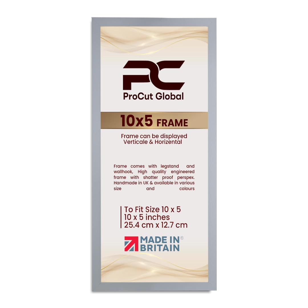 Procut Global 10X5 Light Grey Picture Frames - Modern Wooden Photo Frame with Shatterproof Perspex for Wall or Tabletop - Perfect for Posters, Certificates, Prints - Sizes & Colors Available