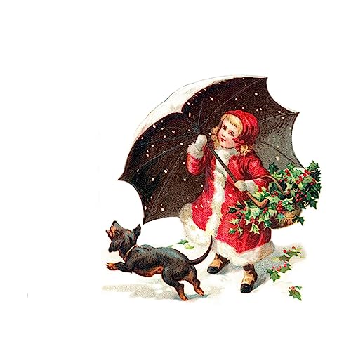 Page de couverture de Ferdinando Paolieri, Il Natale di Granfialunga