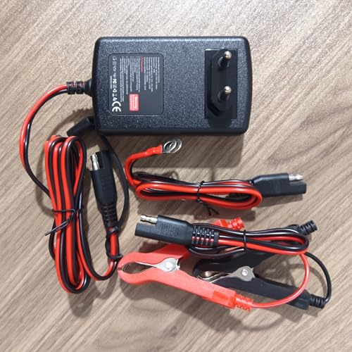 HAUSPROFI Autobatterie Ladegerät 2A 12V/6V für Auto & Motorrad, KFZ Batterieladegerät 12V, Erhaltungsladegerät mit Desulfator, Start ab 0,3V, Prüfengel Getestet, für AGM Gel Blei-Säure