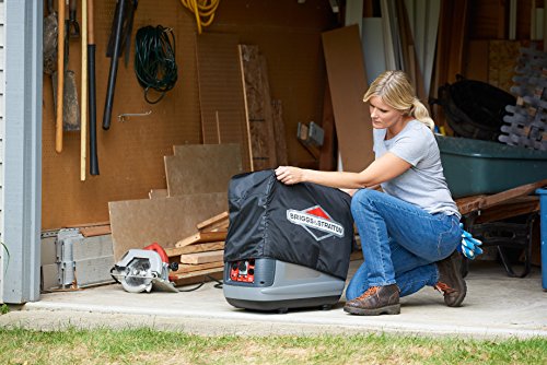 image for Briggs & Stratton 6494 Protective Cover for P2200 Inverter Generator, 