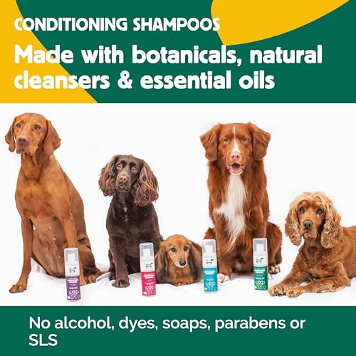 HOWND Yup You Stink - Dog shampoo for smelly dogs - Dog shampoo and conditioner - Fox poo shampoo for dogs - Dog shampoo sensitive skin - Oatmeal dog shampoo - Eucaliptus and Cedarwood, 250ml - Image 7