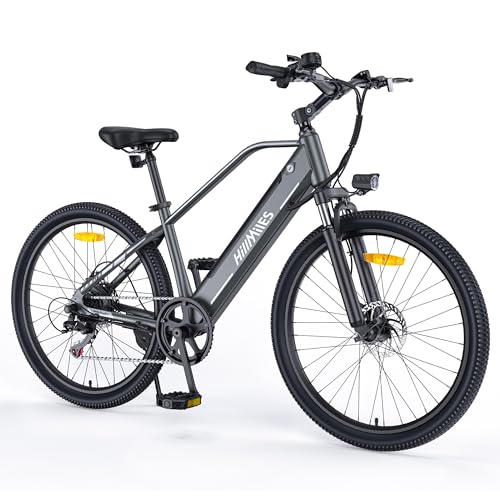 MileTrail 1 Electric Mountain Bike