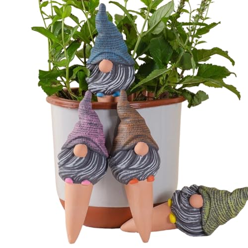 Arrosage des racines pour préserver vos fleurs en pot