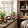 TILZIKA Rattan Bird Nest Set, 8 Nests with 16 Eggs (24 Pcs), Easter Spring Decor, DIY Craft Supplies for Weddings, Parties & Home Decorations #5