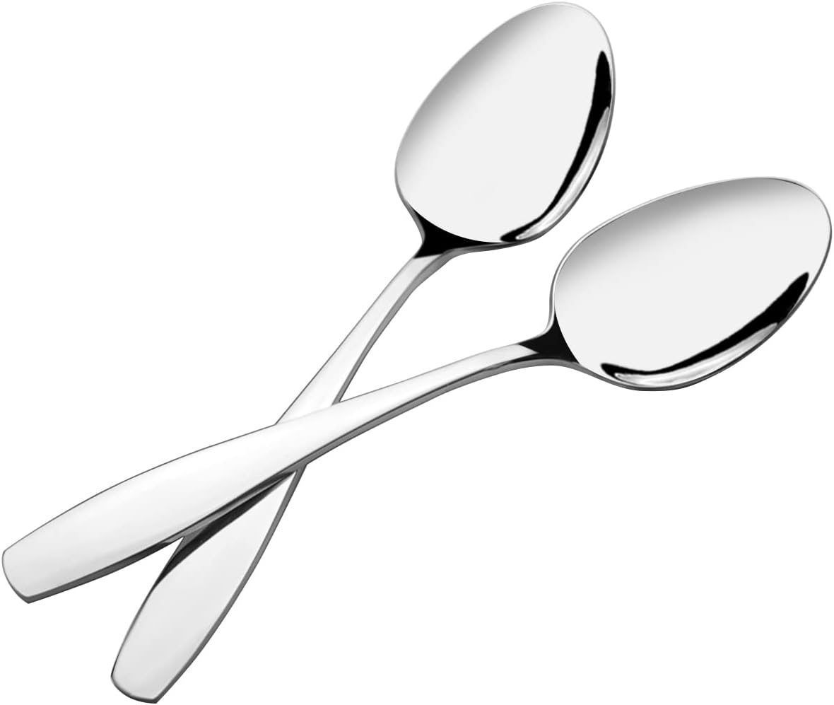 Ortodayes 6piece Stainless Steel Serving Spoons, Large Buffet Parties