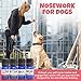 Ink Oil - Pup Scent Work Starter Kit I Dog Scent Training Kit I Complete Nose Scentwork - Anise, Birch, Clove & Vetiver Flavour I Portable Small Aid Kit for Pet Home Trainer - Pure Essential Oils Sets