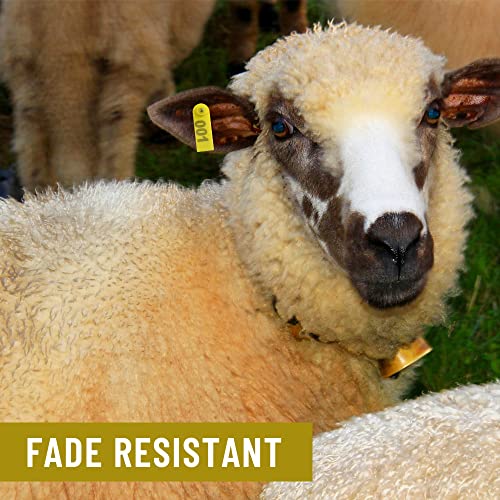 WMYCONGCONG 1-100 Number Sheep Ear Tag Livestock Tags und 1 PCS Ear Tag Applicator Zange für Ziegenschafe (gelb)