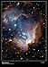 Produktbild Hubble Space Teleskop Bild  New Stars Shed Light on the Past  Atemberaubendes Bild  Größe  59,4 x 42 cm