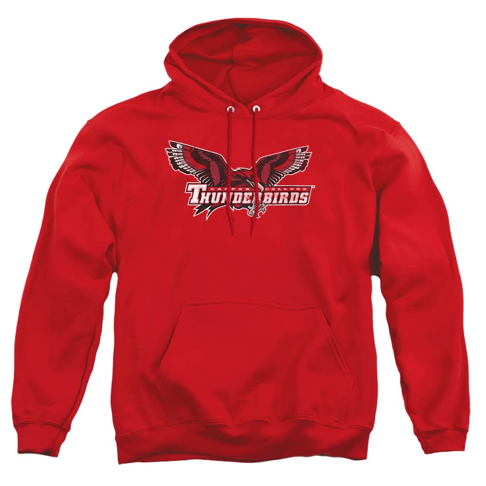 LOGOVISION Official Collegiate Distressed Primary Logo Adult Pullover Hoodie Collection — view 330