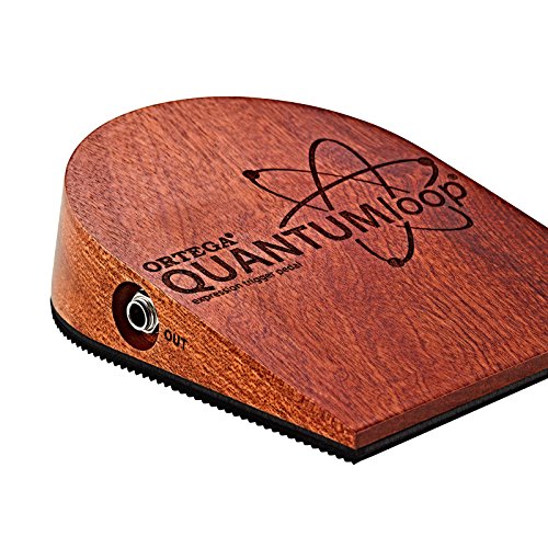 ♪　ORTEGA Analog フットパーカッション Stomp Box　♪ Amazon.com: Ortega Guitars Analog Singer-Songwriter Stomp