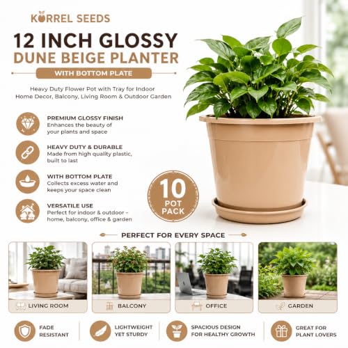Image of 12 Inch Glossy Dune Beige Plastic Planter with Bottom Plate | Heavy Duty Flower Pot with Tray for Indoor Home Decor, Balcony, Living Room & Outdoor Garden (10 Pot, Dune Beige)