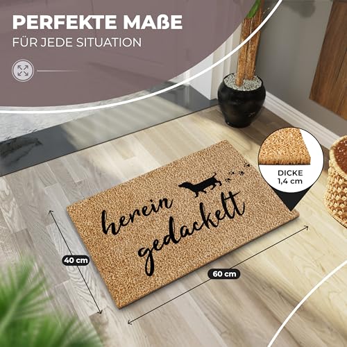 ElbFuchs Fußmatte Kokos 60x40cm Hereingedackelte I Extra langlebige & rutschfeste Kokosmatte für Innen & Überdachte Außenbereiche I Lustige Türmatte mit Dackel Motiv I Ideal als Schmutzfang