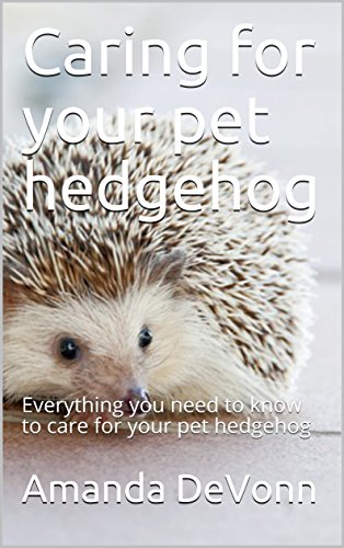 hedgehog pet care