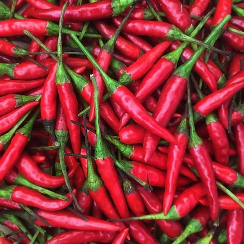 KEJORA Fresh Red Thai Chili Peppers -1 Lb (16 oz)