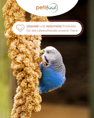 Kolbenhirse gelb 500g - Einzelfuttermittel für alle Ziervögel - Vogelfutter - 100% Natur – Bild 6