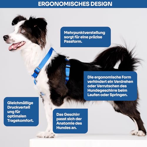 Chaba Guard Hundegeschirr für kleine und mittelgroße Hunde mit Kontrolle, Anti-Zug & Würgen, Verstellbar, Bequem und Leicht, Classic Step-in Brustgeschirr, Dog Harness, Größe M, BLAU